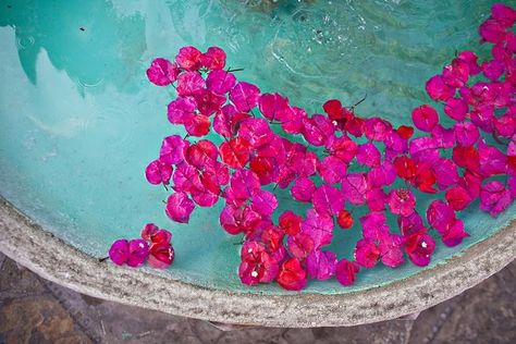 Magenta Wedding, Fuchsia Wedding, Turquoise Rose, Wedding Petals, Palm Springs Wedding, Teal And Pink, Reception Decorations, Wedding Themes, Pink Wedding