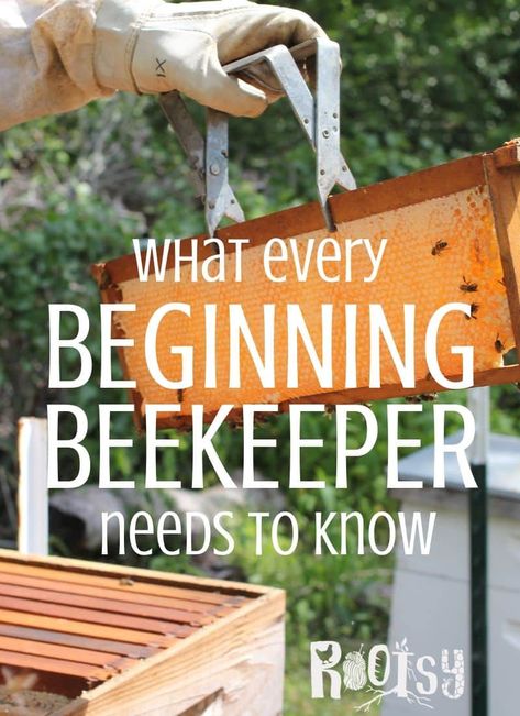 Backyard Bees, How To Start Beekeeping, Honey Bee Farming, Honey Bees Keeping, Bee Farming, Bee Hive Plans, Keeping Bees, Backyard Bee, Raising Bees