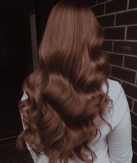 Hair Color Ideas For Brunettes Solid Colors, Dark Auburn Hair Natural, Hair Color For Red Skin, Deep Chestnut Brown Hair, Brunette Ginger Hair, Rich Brown Hair With Highlights, Full Brown Hair, Brown Ginger Hair Color, Bright Brown Hair