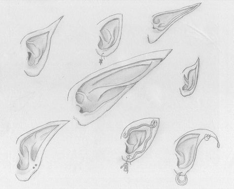 Different types of enchanted ears How To Draw Ears, Realistic Eye Drawing, Elf Ear, Some Drawings, Fairy Ears, Elves And Fairies, Fantasy Drawings, Elf Ears, Eye Drawing