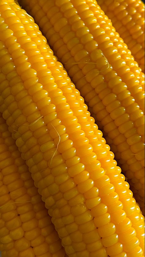 Corn Aesthetic, Indian Fast Food, Children Of The Corn, Food Pic, Gak Ada, Food Therapy, Fruit Dishes, Cute Tumblr Pictures, Colour Yellow