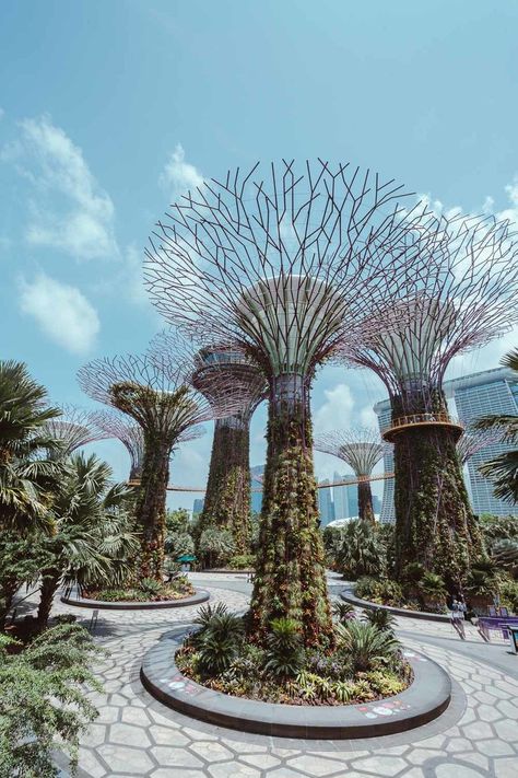 2024 Board, Visit Singapore, Clothing Model, Singapore Travel, Dream Places, Gardens By The Bay, Beautiful Places In The World, Pretty Places, Places Around The World