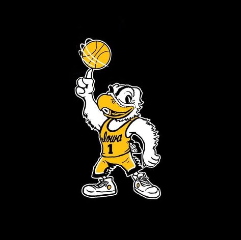 Hawk Mascot, Iowa Basketball, Iowa Hawkeye, Basketball Stuff, University Of Iowa, Iowa Hawkeyes, Hawkeye, Iowa, Basketball