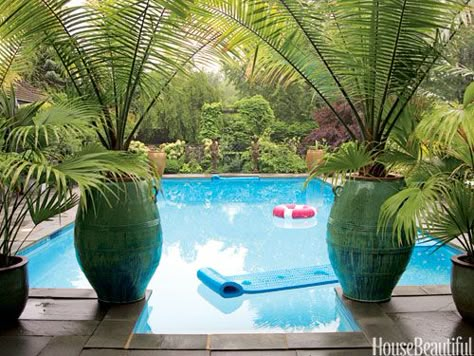 Vietnamese urns from East Hampton Gardens frame a view of the pool in designer Jill Morris's New Jersey house. Plants Around Pool, Swimming Pool Wedding, Hampton Garden, Pool Plants, Tattoo Plant, Potted Palms, Pool Wedding, Tropical Backyard, Pool Steps