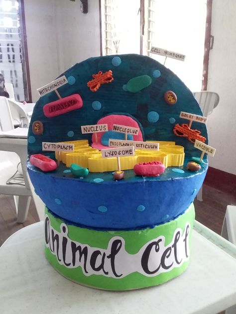 It is made out of styro foam ball,paint and clay. 3d Animal Cell Project, 3d Animal Cell, Cell Model Project, Animal Cell Project, 3d Cell, Plant And Animal Cells, Cells Project, Biology Projects, Cell Model