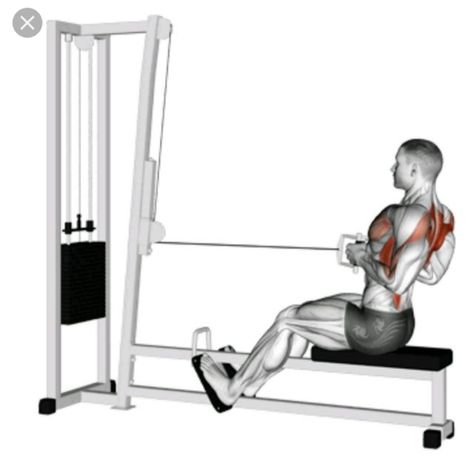 Standards For Men, Seated Cable Row, Upper Body Workout Gym, Back Workout Men, Dumbbell Shoulder Press, Cable Workout, Cable Row, Workout Splits, Gym Workouts For Men