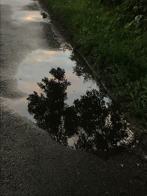 #puddle #reflection #rain Rain Puddle Aesthetic, Puddle Reflection Photography, Puddle Aesthetic, Water Portal, Reading Twilight, Rain Reflection, Rainy Vibes, Puddle Reflection, Rain Puddle