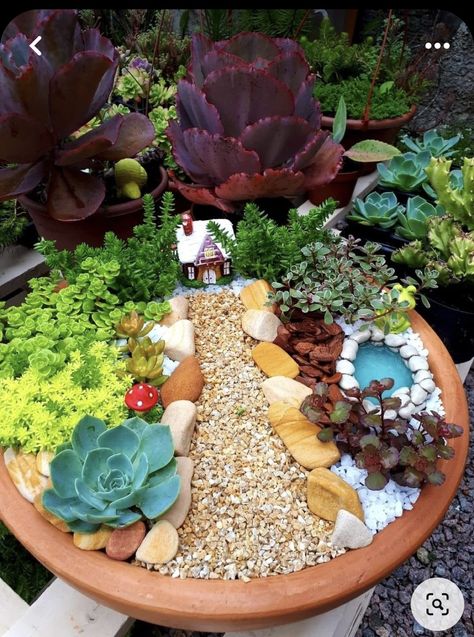 Natural Fountain, Fountain Garden, Beautiful Terrariums, Garden Planter Boxes, Planting Ideas, Succulent Garden Diy, Garden Planter, Garden Fountains, Succulent Garden