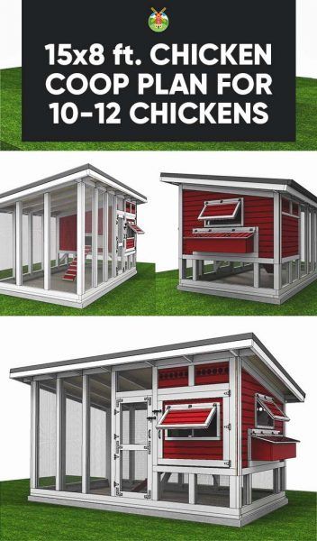 Build your own chicken coop with these 15x8 feet chicken coop plans for 10 up to 12 chickens. Chicken House Plans, Build Your Own Chicken Coop, Chicken Coop Blueprints, Urban Chicken Farming, Chicken Raising, Chicken Barn, Portable Chicken Coop, Backyard Chicken Coop Plans, Diy Chicken Coop Plans