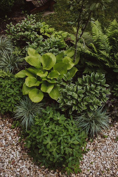 Pnw Garden, Mountain Garden, Grape Arbor, Fine Gardening Magazine, Native Plant Gardening, Garden Pavilion, Fine Gardening, Fall Garden, Interlaken