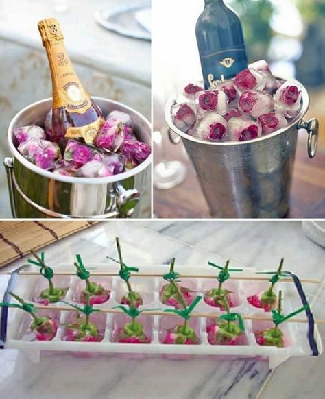 Could do with real or fake flowers as ice cubes romantic night !! Flower Ice Cubes, Pictures Of Food, Flower Ice, Snacks Für Party, Ice Cubes, High Tea, Buckets, Marshmallows, Ice Cube