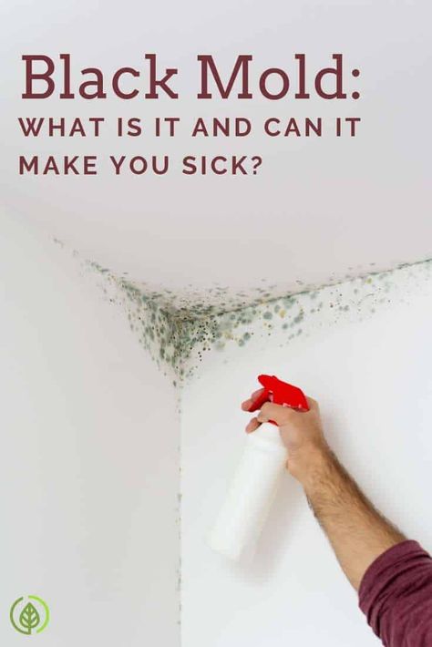 Black mold sounds toxic. But how do you know if you have it? Does it cause serious health problems? And how do you get rid of it? Learn more about black mold symptoms and more... Mold Symptoms, Black Mold Symptoms, Mold Toxicity, Cleaning With Hydrogen Peroxide, Respiratory Problems, Black Mold, Womens Health Care, Natural Health Care, Mold Remover