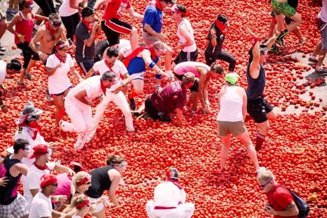 Come participate in the biggest smashed tomato fight of the world! Each participant throws tomatoes and gets involved in this tomato fight purely for entertainment purposes. Since 1945 it has been held on the last Wednesday of August, during the week of festivities of Buñol. La Tomatina Festival, Spanish Festivals, La Tomatina, Big Tomato, Spain Culture, Festival Dates, Festivals Around The World, Bull Run, Weird Holidays