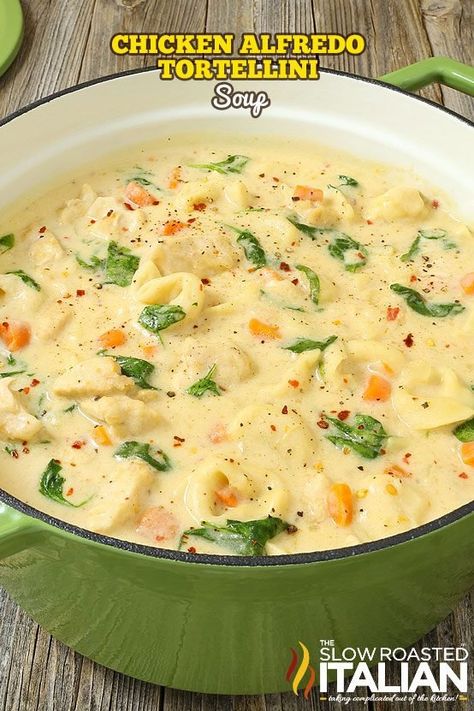 Chicken Alfredo Tortellini Soup, Alfredo Tortellini Soup, Best Alfredo Recipe, Chicken Alfredo Tortellini, Alfredo Tortellini, Recipe With Vegetables, Alfredo Recipes, Chicken Alfredo Recipe, Chicken Tortellini Soup