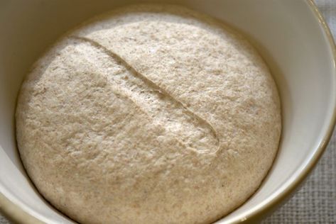 Foods to Avoid With a Yeast Intolerance | LIVESTRONG.COM Yeast Allergy, Low Gluten Diet, Yeast Free Diet, Bread Improver, Bakers Yeast, Yeast Free Breads, Yeast Overgrowth, High Carb Foods, Reading Food Labels