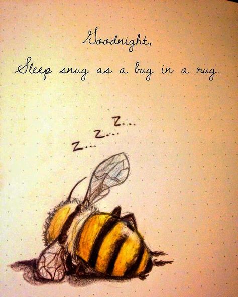 Sleep Drawing, Journal Drawings, Bee Quotes, Buzzy Bee, I Love Bees, Never Mind, A Bug, Bee Decor, Bee Art