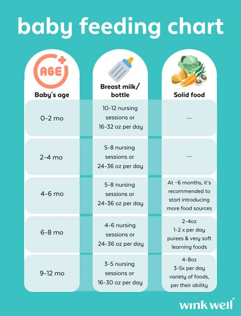 Ever wondered what or how much your baby should be eating? Save this post to refer to as they grow! Breastmilk and/or formula makes up a huge portion of their nutritional content for the first year but at around six months you can start introducing additional sources of nutrition to your baby. Choose solids that are of nutritional benefits to your baby! It’s important to remember that your baby still benefits from breast milk and/or formula even if they’re entering the wonderful world of solids. How Much Formula, Infant Feeding Guide, Baby Feeding Chart, Newborn Baby Tips, Baby D, Baby Care Tips, Do Baby, Breastfeeding And Pumping, Baby #5