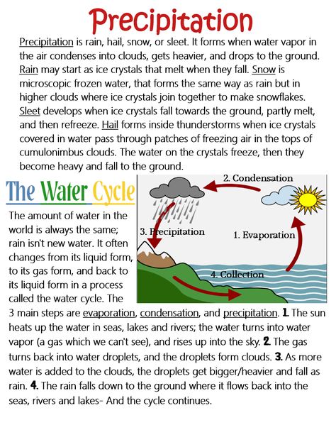 Water Cycle Notes, Water Cycle Anchor Chart, Biological Weathering, Rain Cycle, Science Anchor Charts, The Water Cycle, 7th Grade Science, Biology Facts, 5th Grade Science