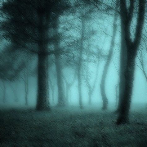 Dark Fairy Core, Dark Forest Aesthetic, Dark Fairycore, Grunge Pictures, Dark Green Aesthetic, Dark Nature Aesthetic, Dark Fairy, Pretty Landscapes, Aesthetic Colors