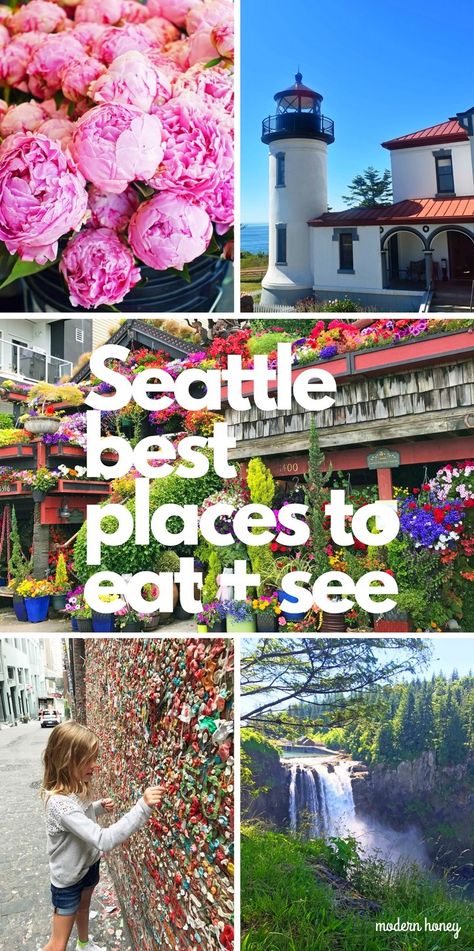 Family Camping Ideas, Seattle Travel Guide, Washington Trip, Seattle Vacation, Seattle Trip, Washington State Travel, Lifestyle Dresses, Seattle Travel, Visit Seattle