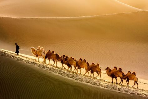 What Is the Ancient Silk Road? Desert Traveller, Taklamakan Desert, Deserts Of The World, Desert Dunes, Dunhuang, Silk Route, The Silk Road, Silk Road, World Best Photos