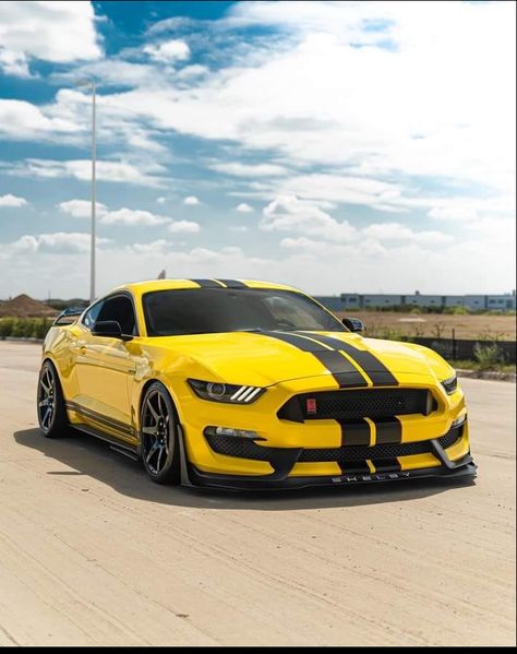 Yellow Mustang Gt, Yellow Mustang, Mustang Gt 350, Gt Mustang, Shelby Gt350r, Shelby Car, Mustang Wallpaper, Mustang Car, Mustang Gt500