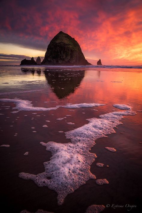 Cannon Beach Photography, E.t Drawing, Christmas Photograph, Sunset Tattoos, Oregon Photography, Cannon Beach Oregon, Beach Tattoo, Happy Earth Day, Beach Shoot