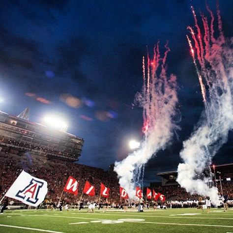 University of Arizona University Of Arizona Aesthetic, U Of Arizona, Future Collage, Arizona Aesthetic, Arizona University, U Of A, Arizona Football, College Poster, The University Of Arizona