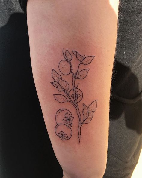 :+: Justice :+: on Instagram: “lil persimmons 😊 thank you! Done @moodyseattle #handpokedtattoo #handpoked #qttr #machinefree #stickandpoke #handpoke” Stick Poke, Stick Poke Tattoo, Fruit Tattoo, Branch Tattoo, Skeleton Tattoos, Stick N Poke Tattoo, Hand Poked Tattoo, Poke Tattoo, Body Adornment