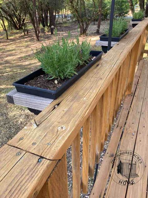 Deck Planter Boxes Railings, Easy Diy Deck, Deck Rail Planters, Rail Planters, Landscaping Patio Ideas, Diy Raised Planter, Railing Planter Boxes, Diy Cedar Planter Box, Patio Planter Boxes