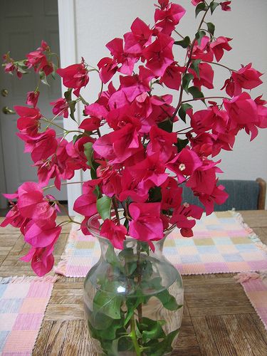 Bouganvillea Center Pieces Bougainvillea Bouquet, Tropical Garden Ideas, Dinner Party Decorations, Greek Isles, Flower Vase Arrangements, Flower Arrangements Simple, Florist Shop, Vase Arrangements, House Plants Decor