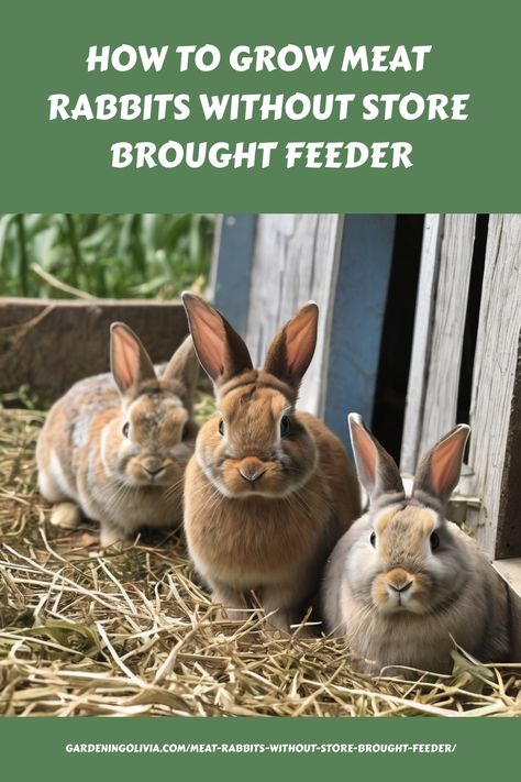 Growing Your Own Meat Rabbits Naturally When it comes to raising rabbits for meat, one of the biggest expenses can be purchasing commercial feed. But did you know you can grow healthy, productive rabbits without ever setting foot in a feed store? By taking advantage of resources you already have on your homestead, you can Rabbit Tractor, Raising Meat Rabbits, Meat Rabbits Breeds, Rabbits For Meat, Raising Rabbits For Meat, Rabbit Pen, Rabbit Feeding, Rabbit Diet, Rabbit Farm