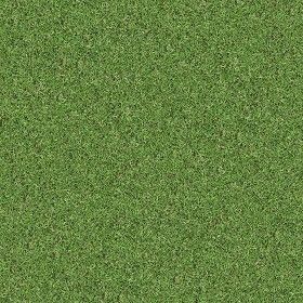 Textures Texture seamless | Green grass texture seamless 13055 | Textures - NATURE ELEMENTS - VEGETATION - Green grass | Sketchuptexture Grass Texture Seamless, City Parks Design, Growing Grass From Seed, Grass Texture, Types Of Mulch, Organic Gardening Pest Control, Growing Grass, Vegetable Garden Planning, Grasses Garden