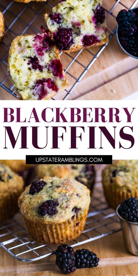 blackberry muffins Blackberry Lime Muffins, Jumbo Blackberry Muffins, Easy Blackberry Muffins Recipes, Blackberry Muffins Recipes, Black Raspberry Muffins, Blackberry Muffins Easy, Blackberry Recipes Easy, Blackberry Dessert Recipes, Blackberry Muffin Recipe