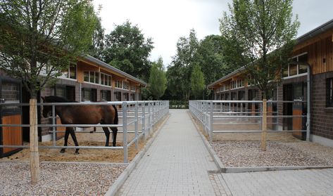 Horse barn stables with mini-paddocks Rower_Rub Fancy Stables, Equine Stables, Equestrian Barns, Horse Farm Ideas, Horse Barn Ideas Stables, Barn Stalls, Stable Ideas, Paddock Paradise, Dream Horse Barns