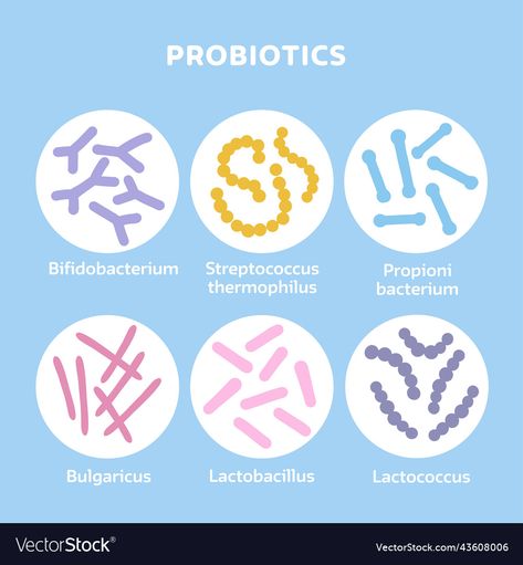 Lactobacillus Bacteria, Bacteria Cartoon, Microbiology Study, Health Icon, Gut Microbiota, Flat Vector Illustration, Beneficial Bacteria, Flat Vector, Microbiology