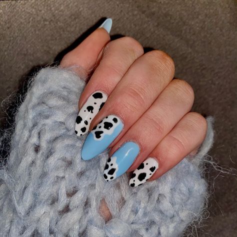 Blue Cowprint Nails, Blue Cow Nails, Gender Reveal Nails, Cowboy Nails, Mexican Quinceanera, Nail 2023, Western Nails, Country Nails, Baby Blue Nails