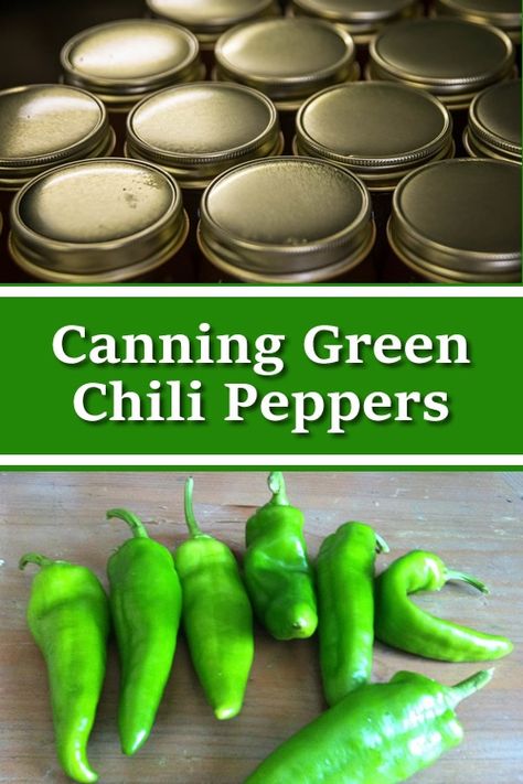 Canning Cowboy Candy, Canning Vegetable Soup, Chili Canning Recipe, Green Chili Sauce Recipe, Canning Chili, Homemade Green Chili, Canning Granny, Hatch Green Chili, Green Chili Sauce