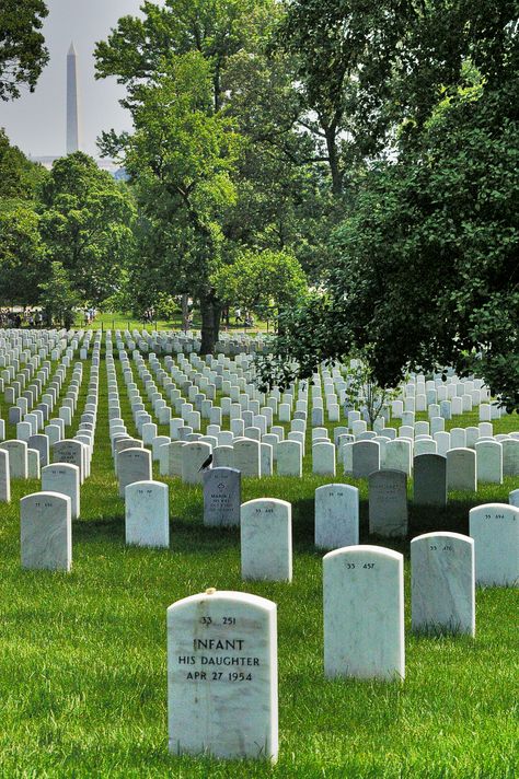 Hallowed Grounds - Arlington National Cemetery, Washington D.C. Scary Things, Arlington National Cemetery, Dc Travel, Safe Harbor, National Cemetery, Cemetery, Washington Dc, Beautiful Pictures, Outdoor Furniture Sets