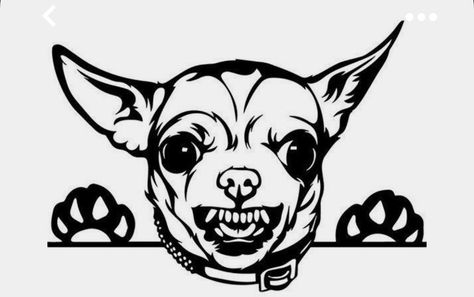 Mad Chihuahua, Growling Dog, Angry Puppy, Chihuahua Drawing, Dog Peeking, Short Dog, Cute Chihuahua, Chihuahua Love, Chihuahua Dog