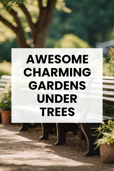 Have you ever thought of turning that lovely shaded spot under your trees into a fancy garden getaway? It's like creating a magical retreat! Explore easy tips on gardening with shade plants, comfy seating arrangements, and fun decorations to brighten up that cozy space. From colorful flowers to lush greenery, let your creativity shine and make the most of your outdoor area while keeping it super chill and enjoyable. Your ideal shaded area awaits, and it’s just a garden away. Save this for your next garden project! Backyard Tree Decorating Ideas, Seating Under Tree, Sitting Area Under Tree, Under Tree Seating Area, Under Tree Ideas, Landscaping Under Trees, Garden Shade Ideas, Garden Ideas Under Trees, Shade Cloth Garden