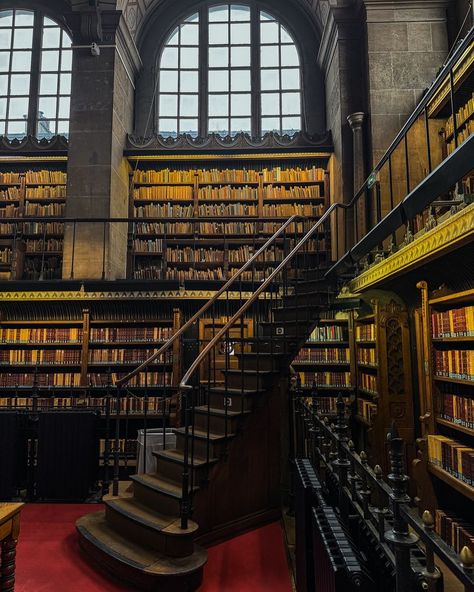 One Thousand Libraries 📖 | ✨The Bibliothèque Sainte-Geneviève, located in Paris, is a beautiful library renowned for its architectural splendor and grandiosity.… | Instagram Henri Labrouste, Historic Library, St Genevieve, Beautiful Library, One Thousand, Reading Room, Bookstore, 19th Century, Paris