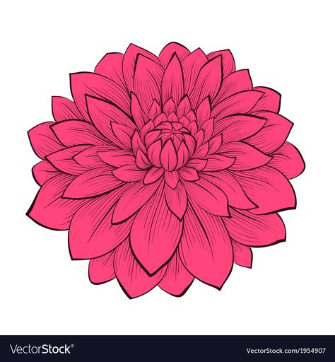 Lotus Flower Logo Design, Dahlia Tattoo, Flower Dahlia, Lotus Flower Logo, Butterfly Black And White, Sunflower Images, White Floral Arrangements, White Lotus Flower, Owl Vector