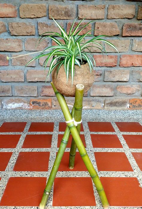 Bambu Art, Sala Yoga, Harry Potter Party Decorations, Candy Land Decorations, Twig Furniture, Hanging Plants Diy, Christmas Decorations Outdoor, Bamboo Decor, Christmas Tree Diy