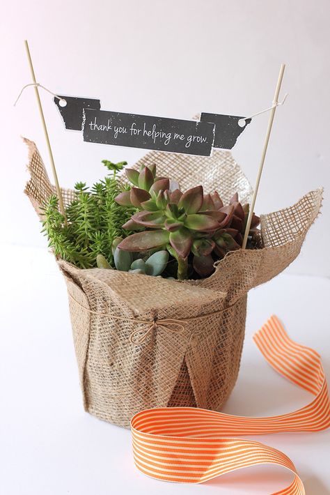 DIY Teacher gifts: Love the sophisticated look of this potted plant with free printable banner from Alice & Lois Free Teacher Appreciation Printables, Teacher Appreciation Gifts Diy, Teacher Appreciation Printables, Free Printable Banner, Appreciation Printable, Teachers Diy, Plant Gift, Diy Teacher Gifts, Teacher Appreciation Week