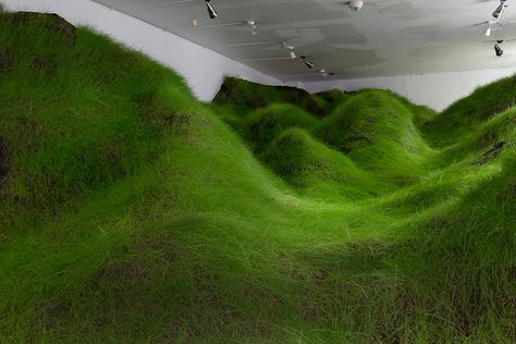 “Not Red But Green” Grass Art Installation | by the Norwegian artist Per Kristian Nygård Contemporary Art Installation, Olafur Eliasson, Art Installation, Exhibition Space, Sculpture Installation, Natural Phenomena, Land Art, Green Grass, Plant Life