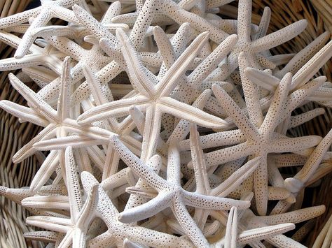 Beach Themed Wedding Centerpieces, Diy Nautical Decor, Wedding Nautical, Beach Wedding Decorations Reception, Sand Gifts, Starfish Wedding, Nautical Crafts, Beach Wedding Decorations, Beach Cottage Decor