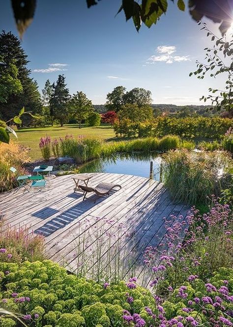 Large Backyard Pond, Large Pond Landscaping, Halloween Ceiling, Felt Halloween Decorations, Yard Pond, Large Pond, Halloween Haunted House Decorations, Natural Swimming Ponds, Wooden Deck