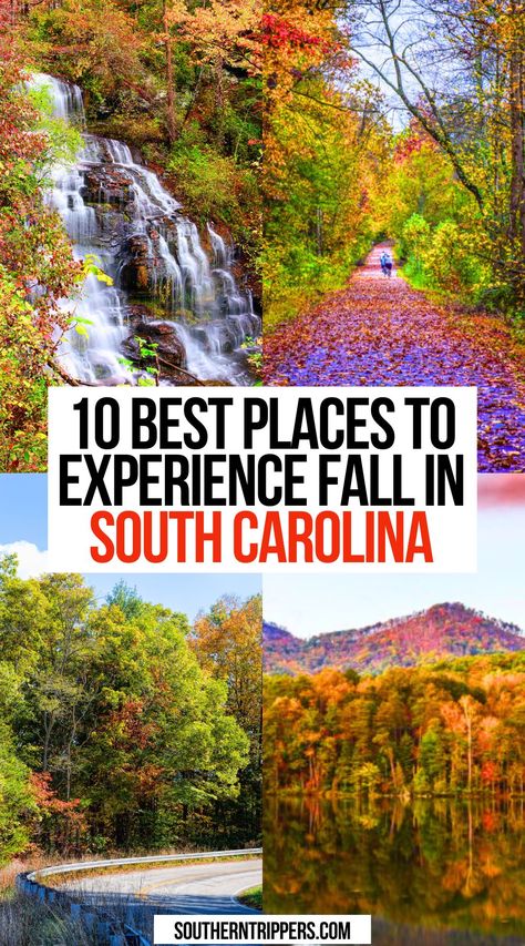 10 Best Places to Experience Fall in South Carolina Greer South Carolina, Fall In South Carolina, Charleston South Carolina Fall, Travelers Rest South Carolina, South Carolina Road Trip, South Carolina Fall, North Carolina Fall, Fall In The South, Fall Foilage