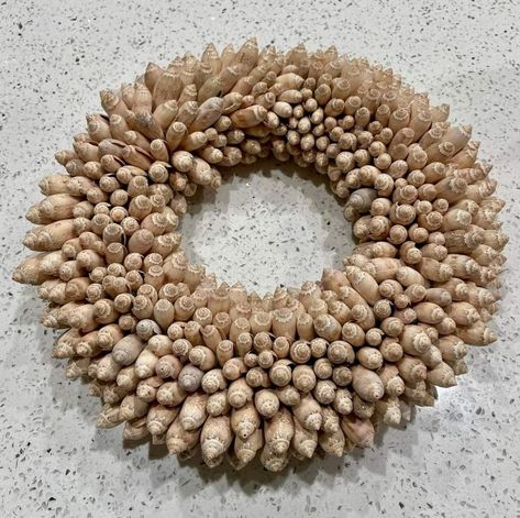 Olive Shell, Olive Wreath, Seashell Projects, Shell Wreath, Oyster Shells, Coastal Christmas, Seashell Crafts, Shell Art, Shell Crafts